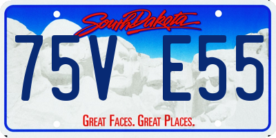 SD license plate 75VE55