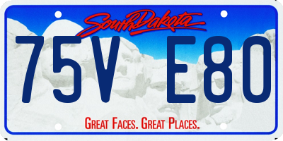 SD license plate 75VE80