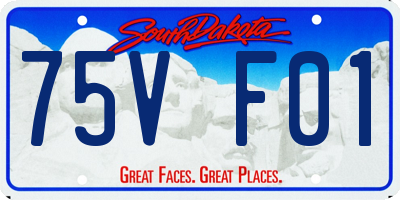 SD license plate 75VF01
