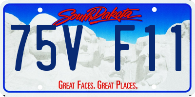 SD license plate 75VF11