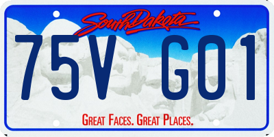 SD license plate 75VG01