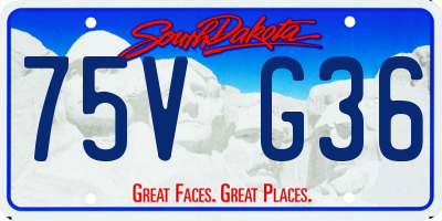 SD license plate 75VG36