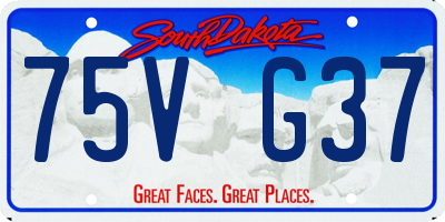 SD license plate 75VG37