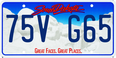 SD license plate 75VG65