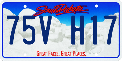 SD license plate 75VH17