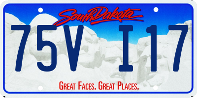 SD license plate 75VI17