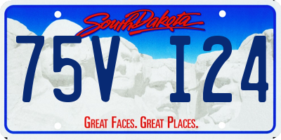SD license plate 75VI24