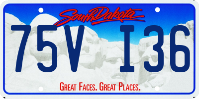 SD license plate 75VI36