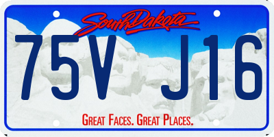 SD license plate 75VJ16