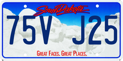 SD license plate 75VJ25