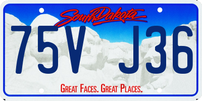 SD license plate 75VJ36