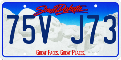 SD license plate 75VJ73