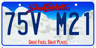 SD license plate 75VM21