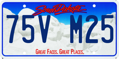 SD license plate 75VM25