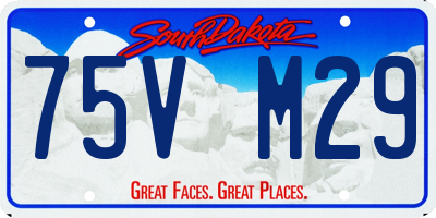 SD license plate 75VM29