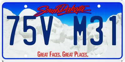 SD license plate 75VM31