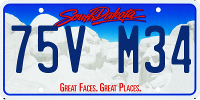 SD license plate 75VM34