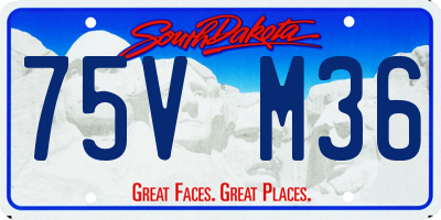 SD license plate 75VM36