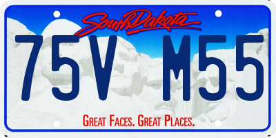 SD license plate 75VM55