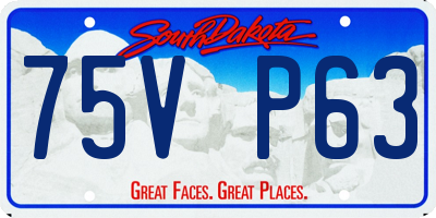SD license plate 75VP63