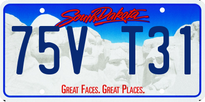 SD license plate 75VT31