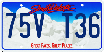 SD license plate 75VT36