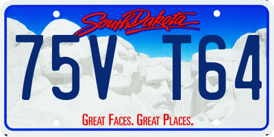 SD license plate 75VT64