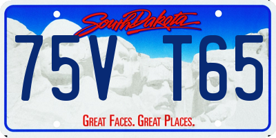 SD license plate 75VT65
