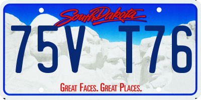 SD license plate 75VT76