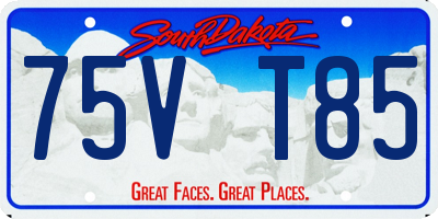SD license plate 75VT85