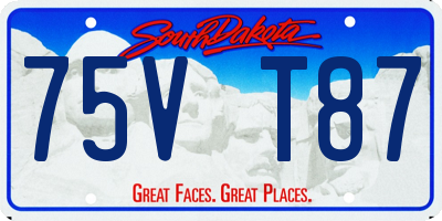 SD license plate 75VT87
