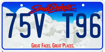 SD license plate 75VT96