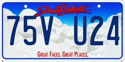 SD license plate 75VU24