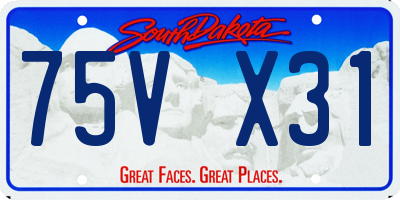 SD license plate 75VX31