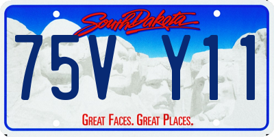 SD license plate 75VY11