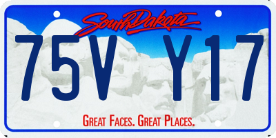 SD license plate 75VY17