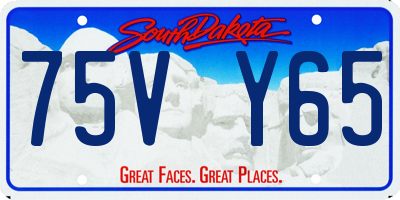 SD license plate 75VY65