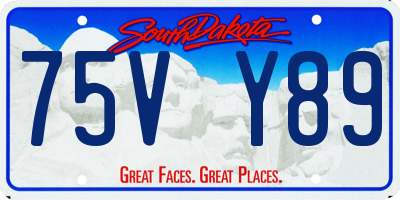 SD license plate 75VY89