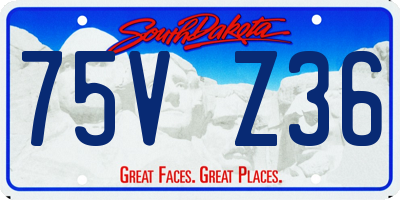 SD license plate 75VZ36