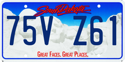 SD license plate 75VZ61