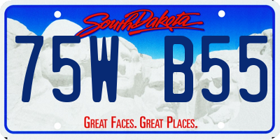 SD license plate 75WB55