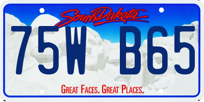 SD license plate 75WB65