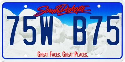 SD license plate 75WB75