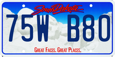 SD license plate 75WB80