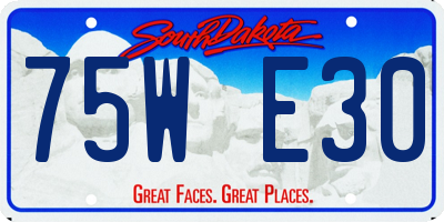SD license plate 75WE30