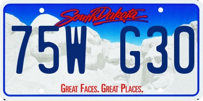 SD license plate 75WG30