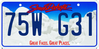 SD license plate 75WG31