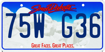 SD license plate 75WG36