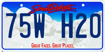 SD license plate 75WH20