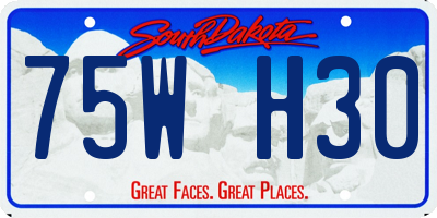 SD license plate 75WH30